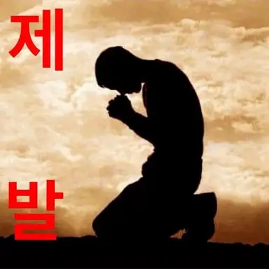 Profile image of 기모띠
