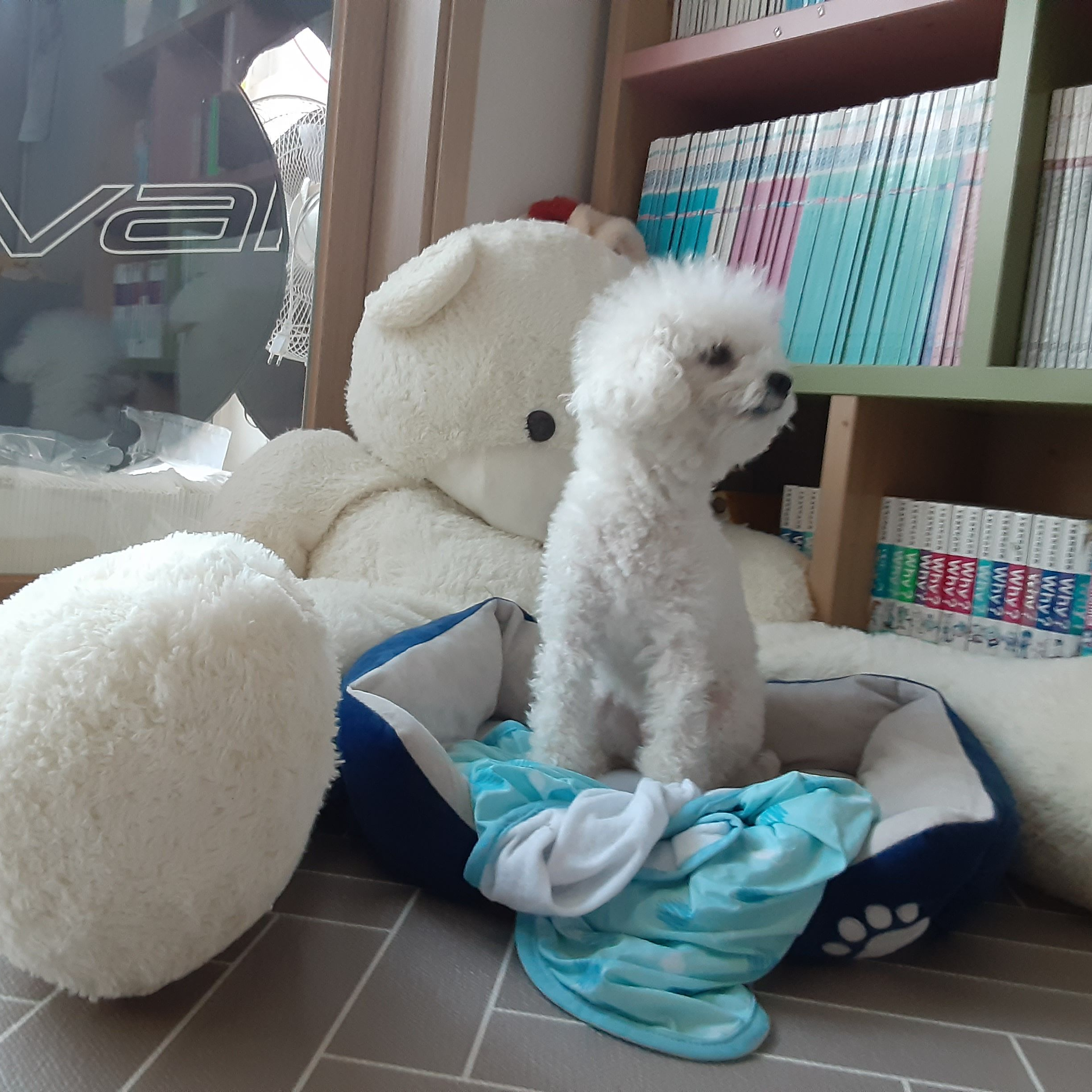커플로 오해 받은 당신? 대표 이미지