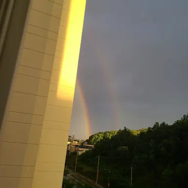 Profile image of 주인장 놈