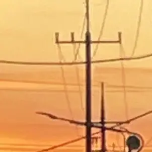 Profile image of 덕개