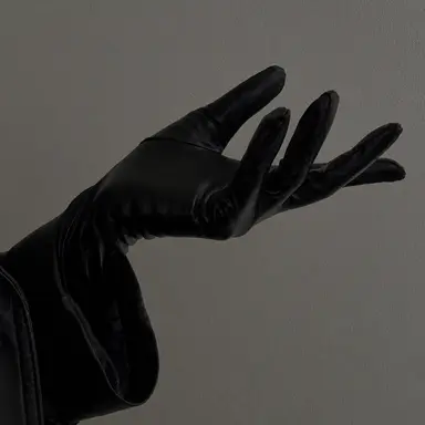 Profile image of Dr. D