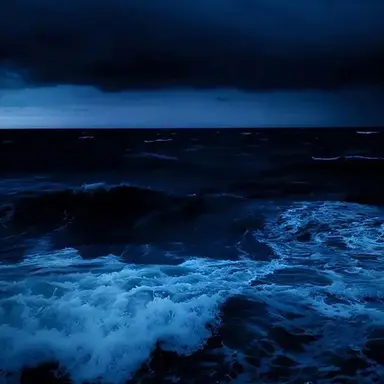 Profile image of 잭