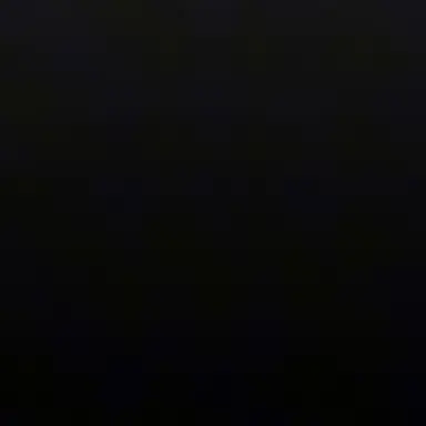 Profile image of 비비