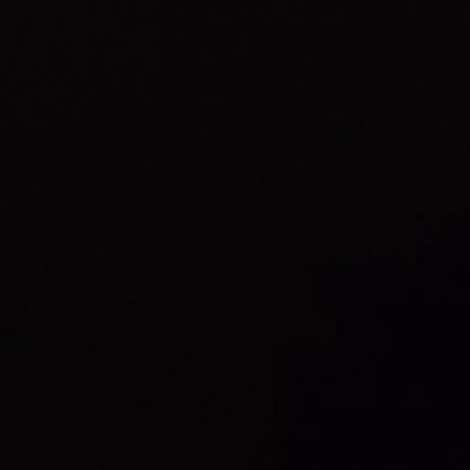 김은율
