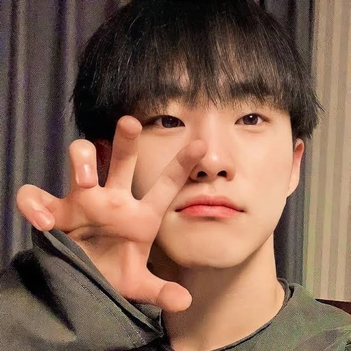 호시