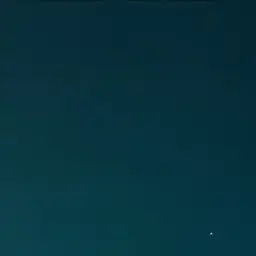 Profile image of 치아키