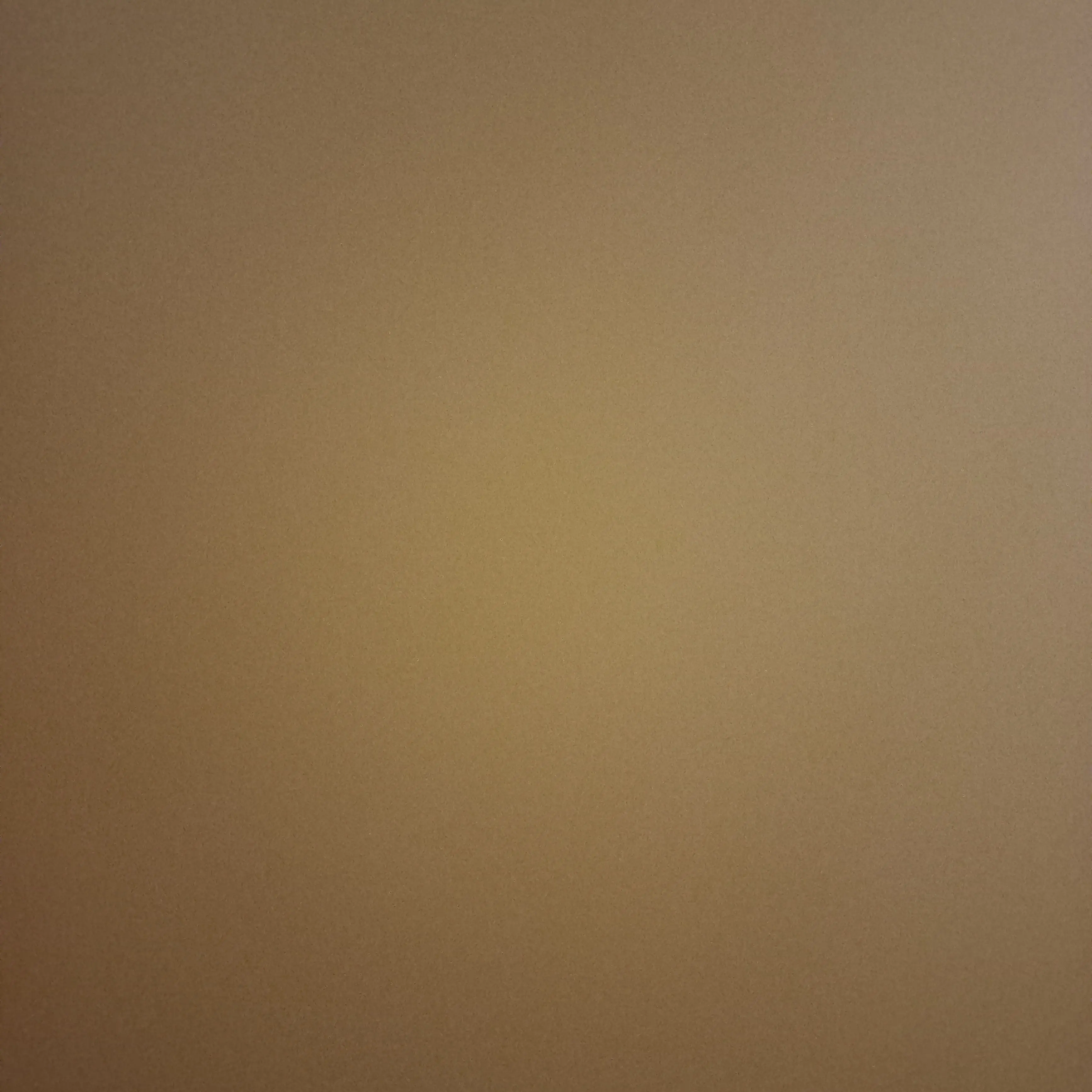 ItchyBook9202의 놀러왔는데?!+고고프렌즈+여우