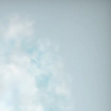 Profile image of リーファ