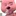 루피