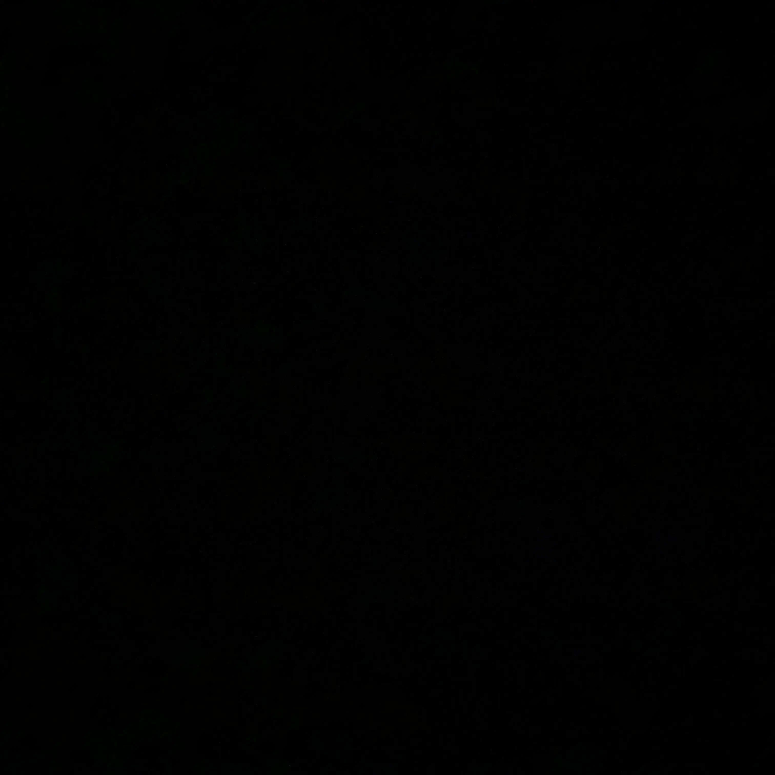 Dogfight의 첫만남