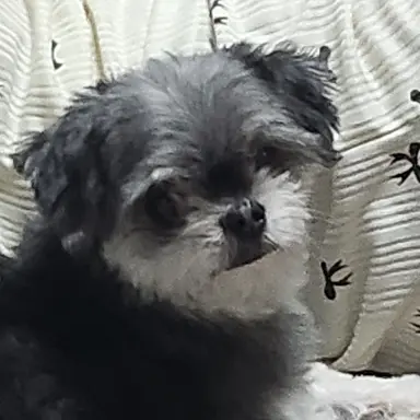 Profile image of ...