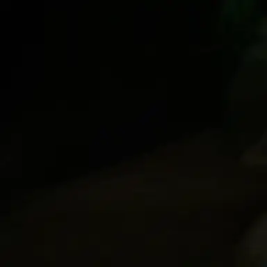 Profile image of 황현진