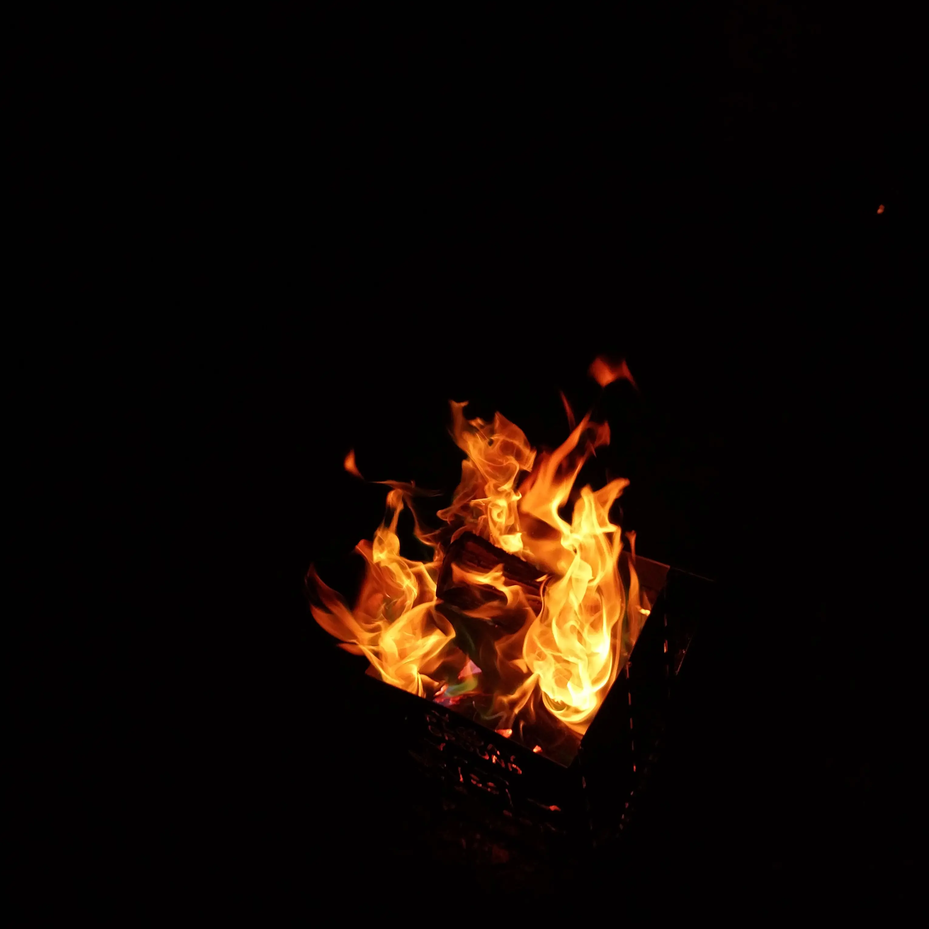 AbleMovie2414의 박지성