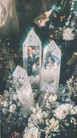 Profile image of Kanae