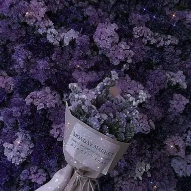 Profile image of 한노아