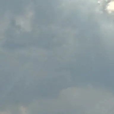 Profile image of 개노무 여우