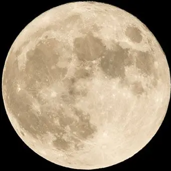 Profile image of レックス