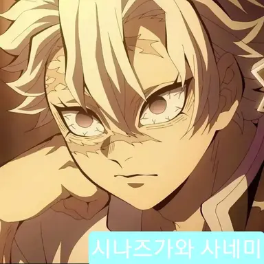 Profile image of 시나즈가와 사네미