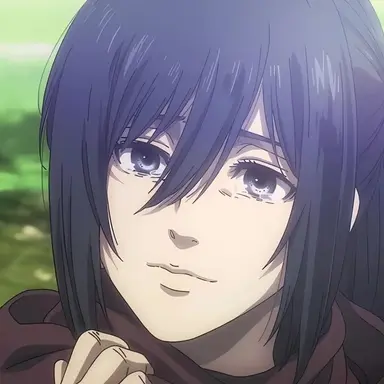 Profile image of 미카사