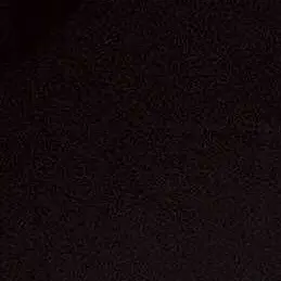 Profile image of 안건호