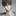 風間悠斗