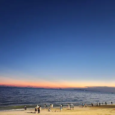 Profile image of 채이