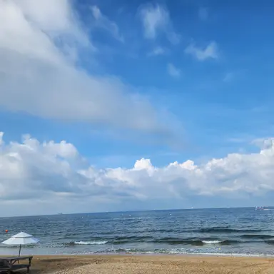 Profile image of 동원