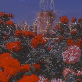 [North_] 수사학의 별이깨졌다 대표 이미지