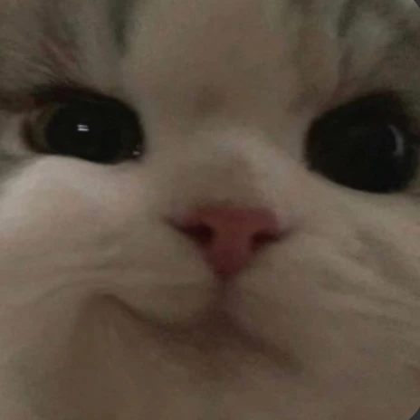 이하린