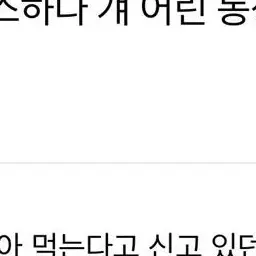 Profile image of 사키 미노리