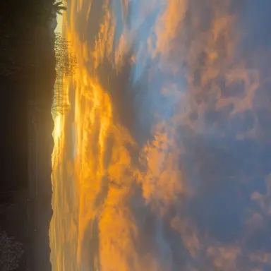 Profile image of Alec