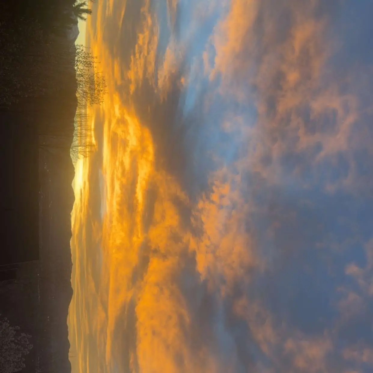 TallMop9175의 Summer at the Lake House