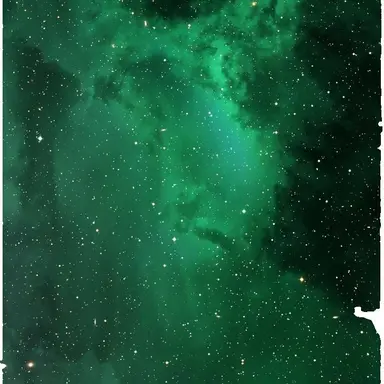 Profile image of 꾸몽