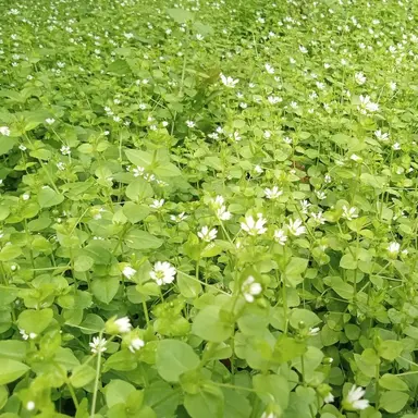 Profile image of 운터