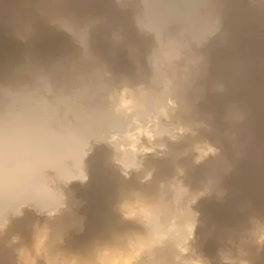 Profile image of 아이리스