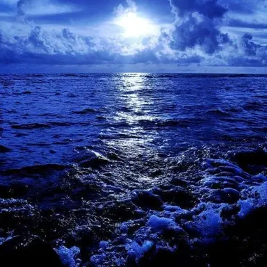 Profile image of 파크모