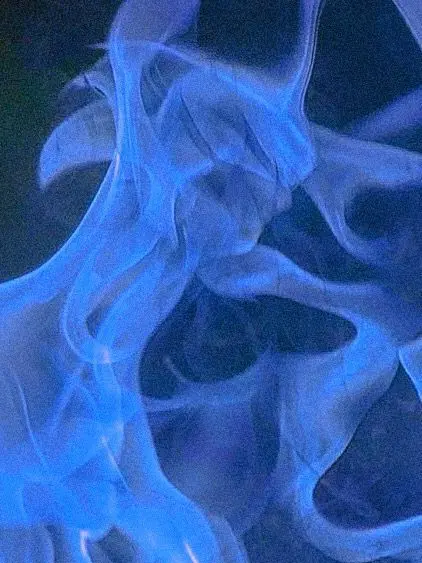 myeon624의 플린스