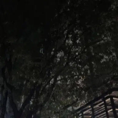 Profile image of 방찬