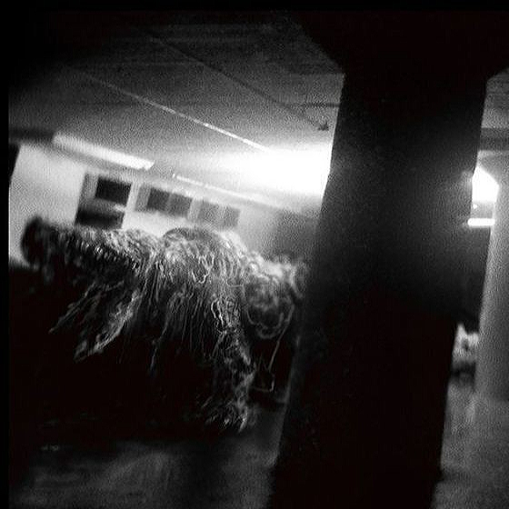 SCP-682 대표 이미지