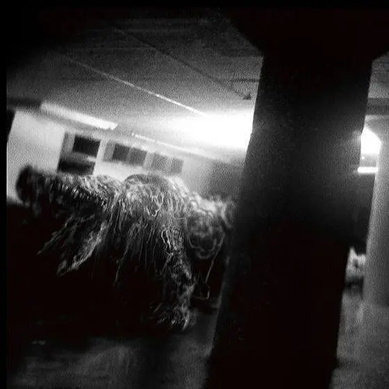 D2V1L의 SCP-682