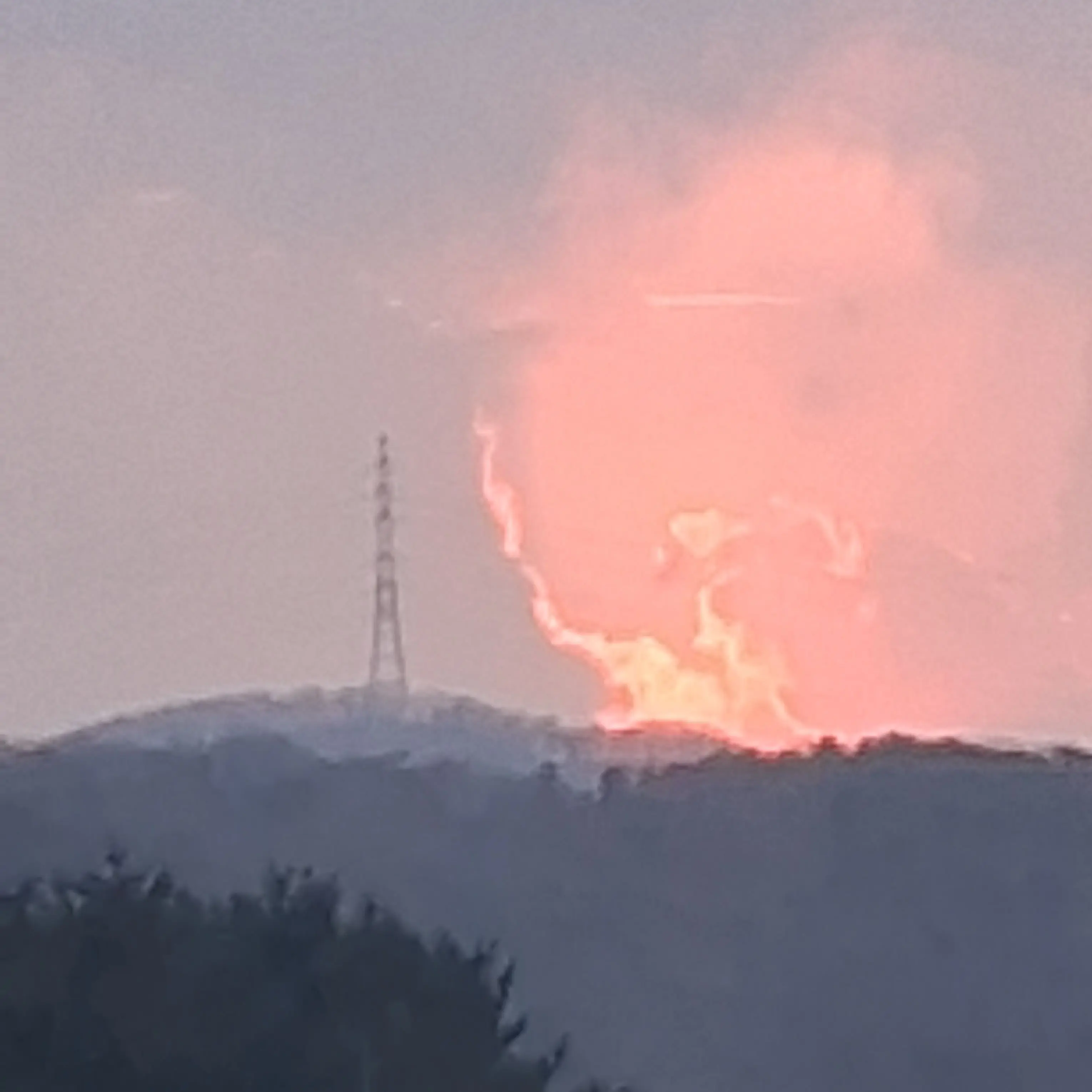 DaftlyPasta3219의 여우에게 똑버로 속은 고고프렌즈