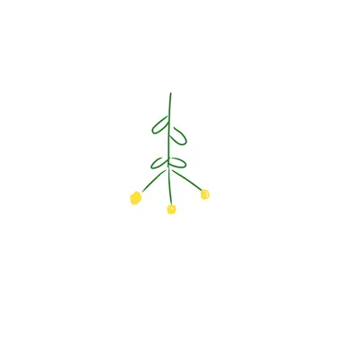 Profile image of 호드르