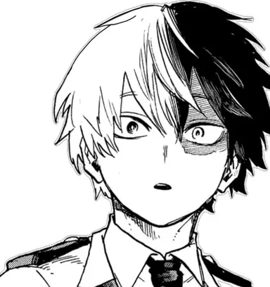 Profile image of Shoto Todoroki
