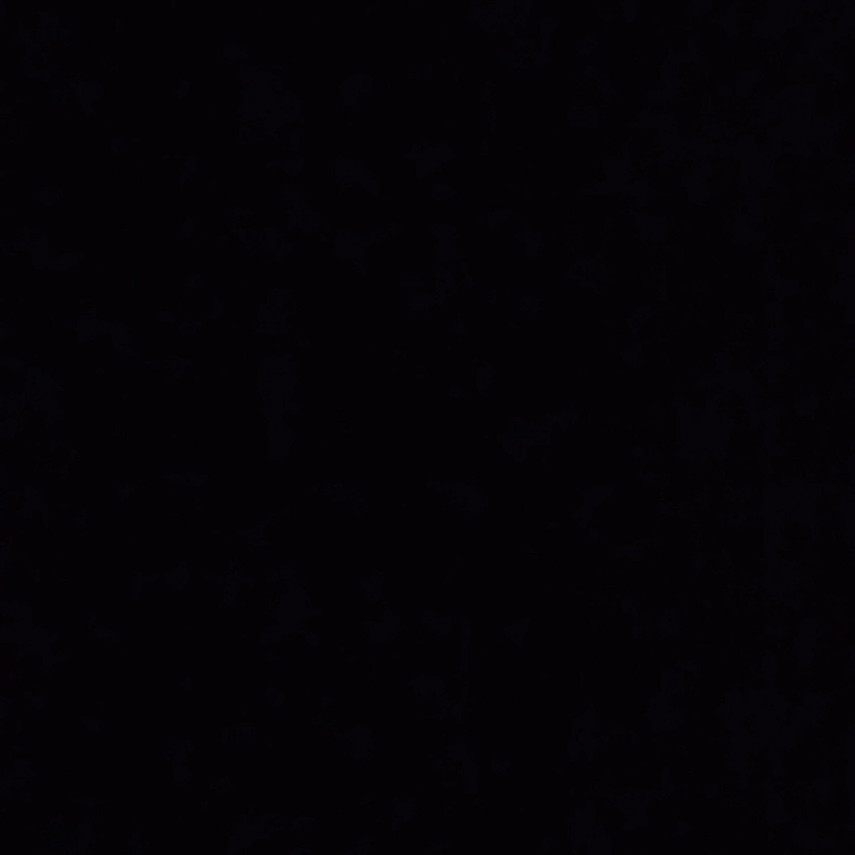 김요한