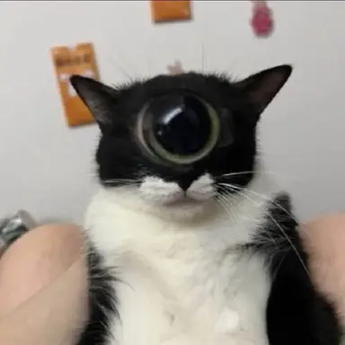 Profile image of Deleted