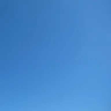 Profile image of X