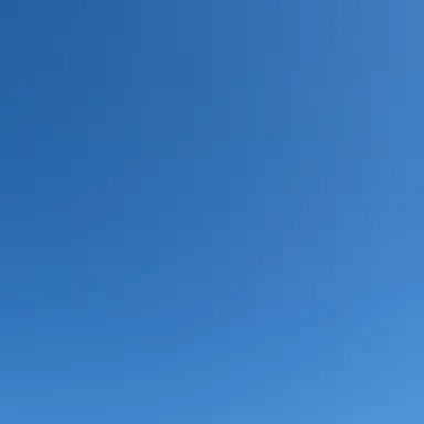 Profile image of W