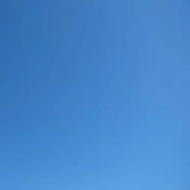 Profile image of Y