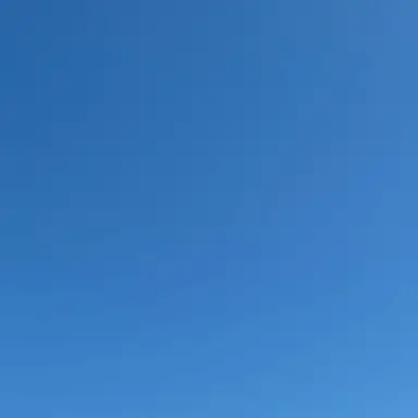 Profile image of T