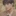 단유호
